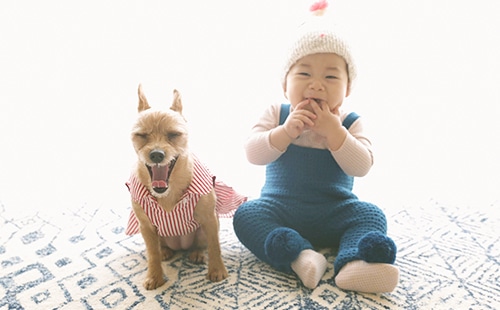 成長に寄り添う、やさしい価格